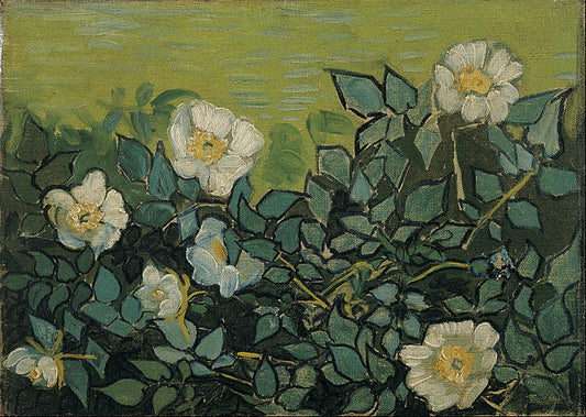 Van Gogh's Wild Roses: A Masterpiece of Resilience, Life, and Nature's Beauty