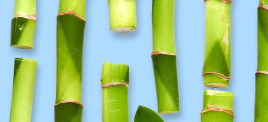 Bamboo fiber scarf: a green journey from nature to fashion