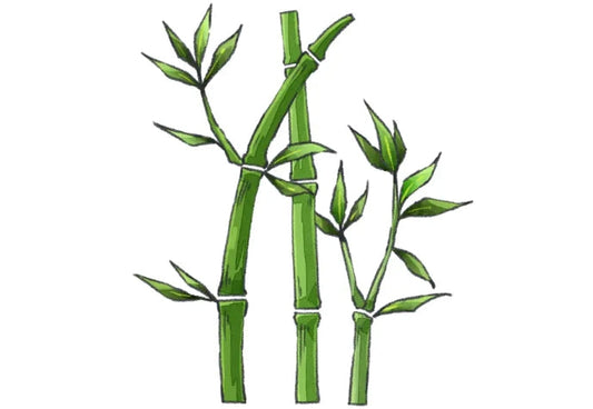 15 Popular Bamboo Fabric Types: Which is Best?