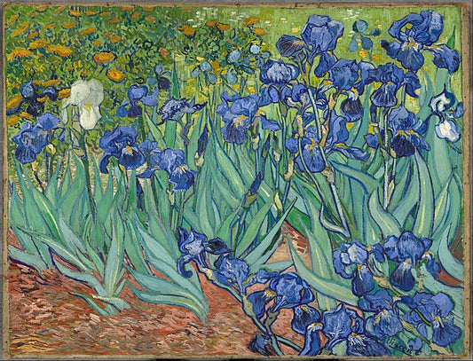 Van Gogh's *Irises*: A Masterpiece of Life, Color, and Emotional Depth